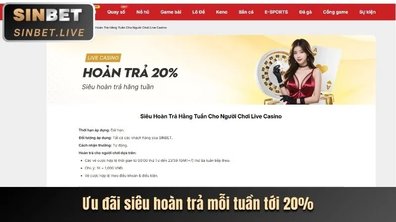 Hoàn trả cược thua 77win6